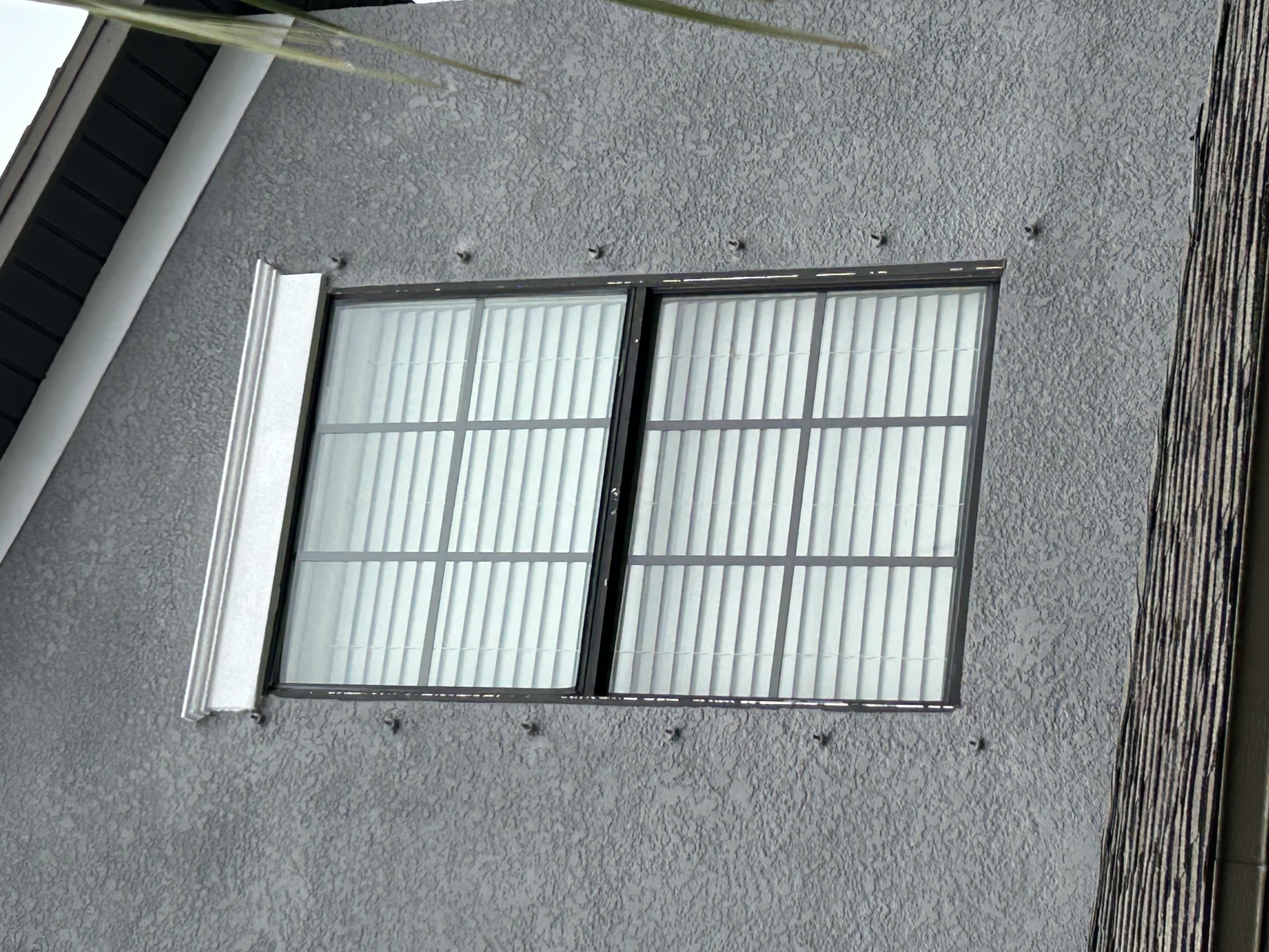 Before and after window cleaning