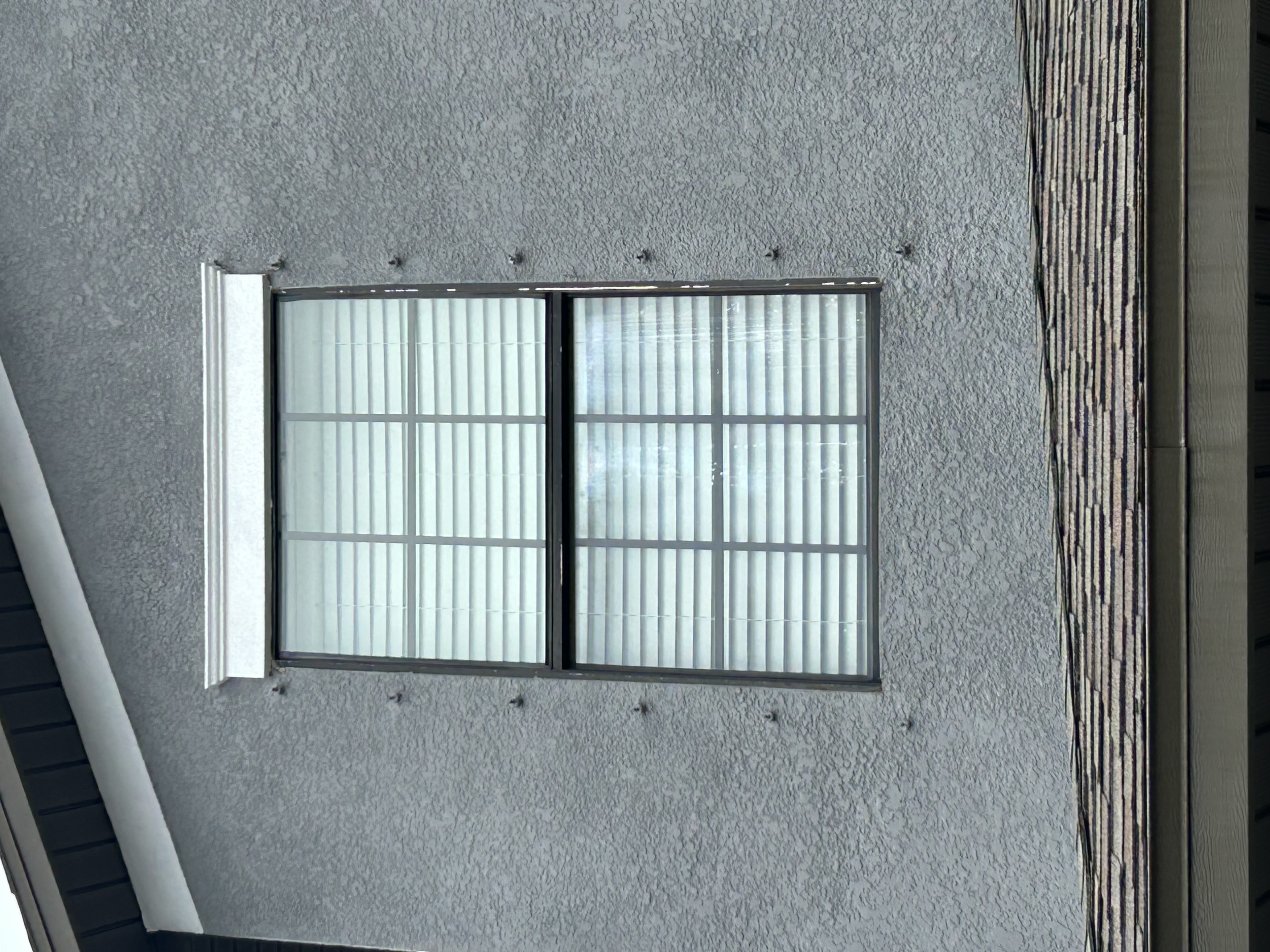 Before and after window cleaning